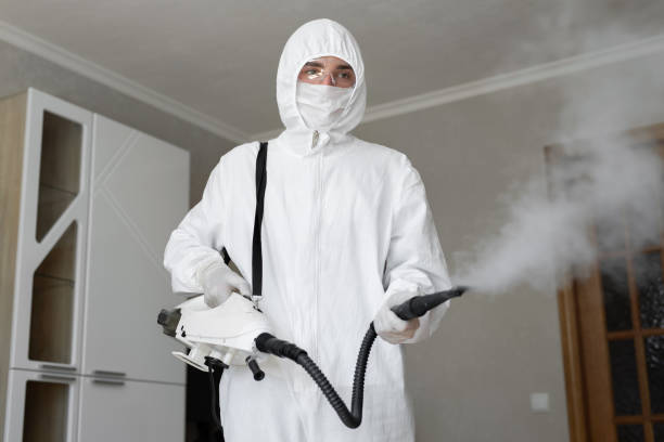 Why You Should Choose Our Mold Remediation Services in Carthage, NC